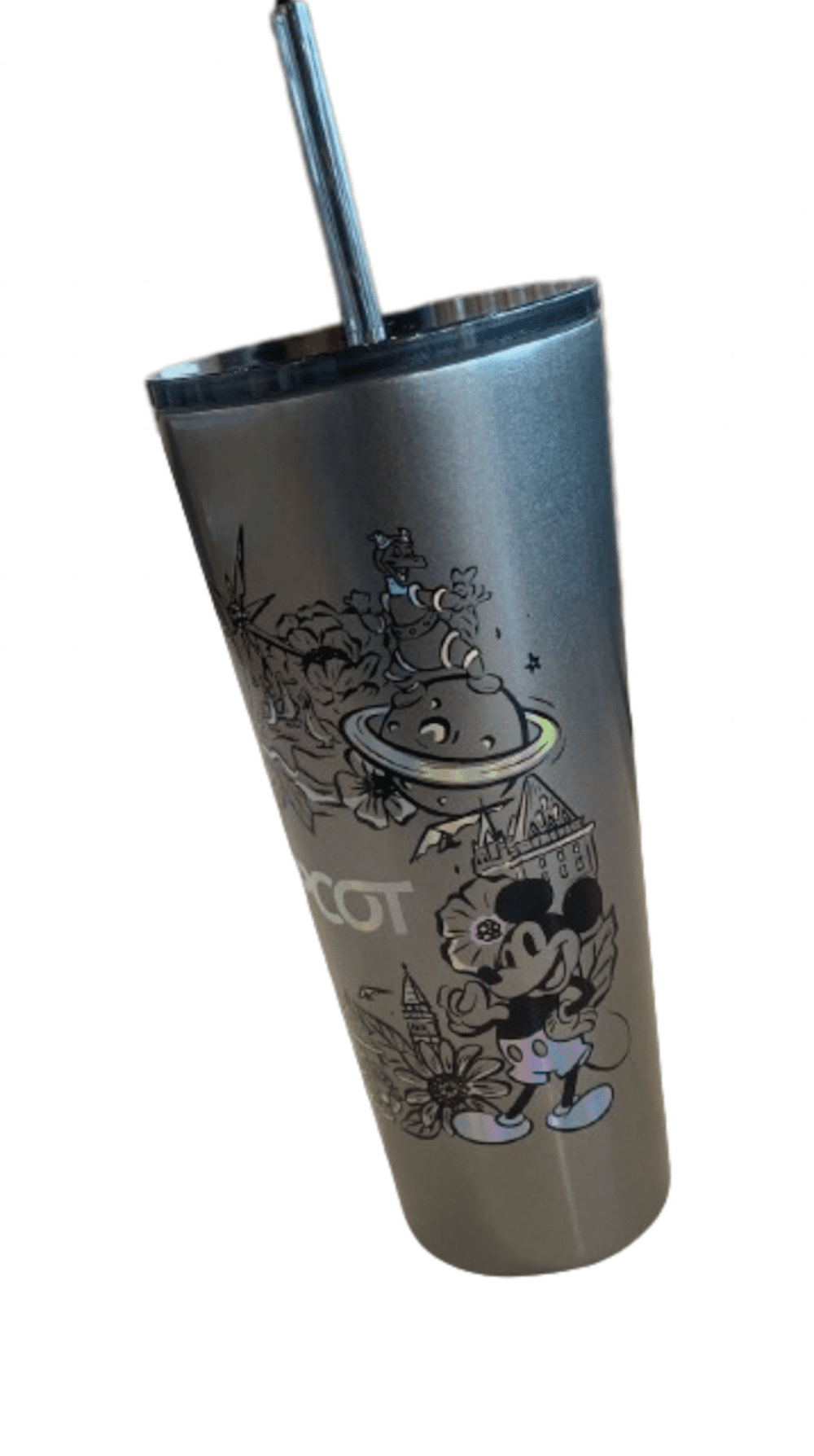 Lunabuddy™ Disney Epcot Icons Metal Tumbler Cup with Straw New